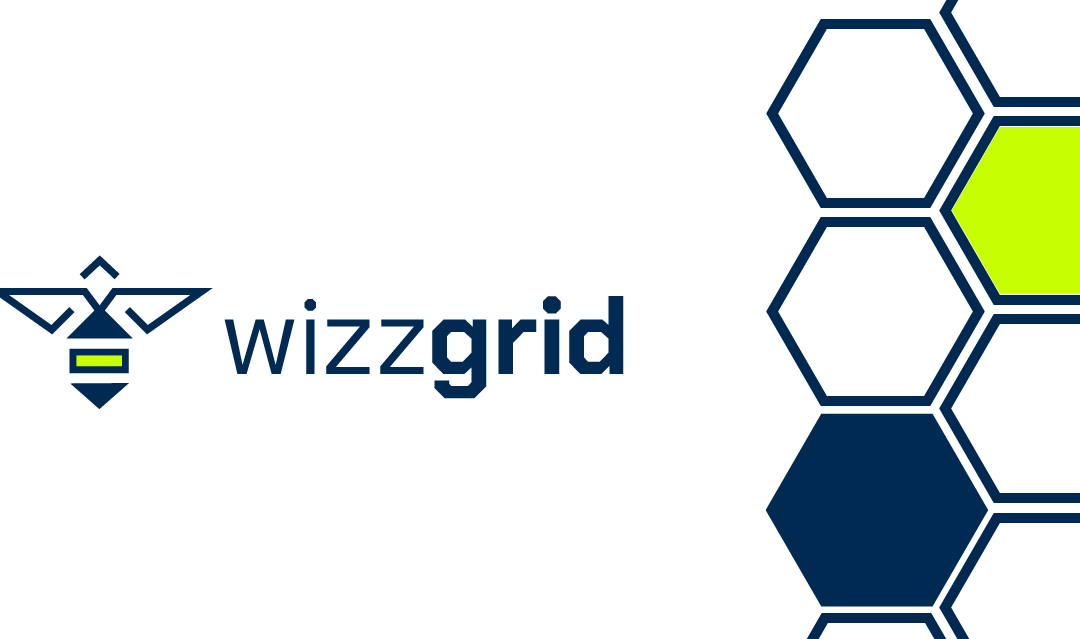Partnerschaft für die Energiewende: Wizzgrid und DARZ bündeln ihre Stärken