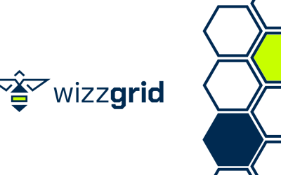 Partnerschaft für die Energiewende: Wizzgrid und DARZ bündeln ihre Stärken